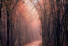 多多28官网：广东广州豹客场发威，2-0战胜大连鲲城喜迎两连胜.