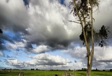 多多28官网：徐梦桃将担任哈尔滨亚冬会闭幕式中国代表团旗手.