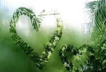 多多28官网：[图]约基奇24+15+9詹眉59分 逆转夺赛点.