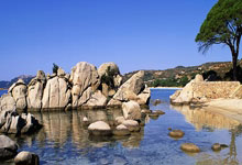 多多28官网：赵宇：搞金元足球没问题，前提是得花自己的钱而非借钱搞.